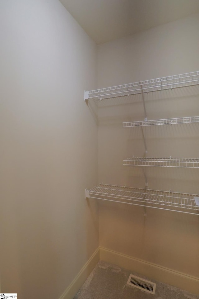 128 Palm Springs Way, Simpsonville, SC 29681 - view of pantry