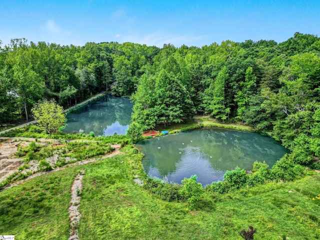313 Viewmont Dr, Greenville, SC 29609 - water view featuring a forest