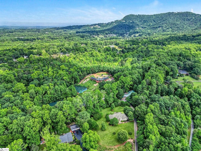 313 Viewmont Dr, Greenville, SC 29609 - aerial view of property's location featuring a heavily wooded area