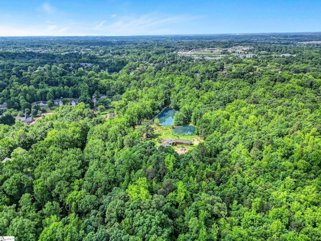 313 Viewmont Dr, Greenville, SC 29609 - aerial overview of property's location with a forest
