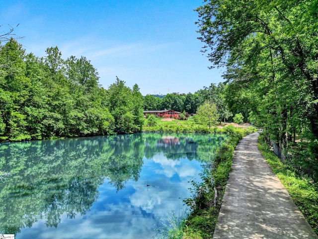 313 Viewmont Dr, Greenville, SC 29609 - water view featuring a forest