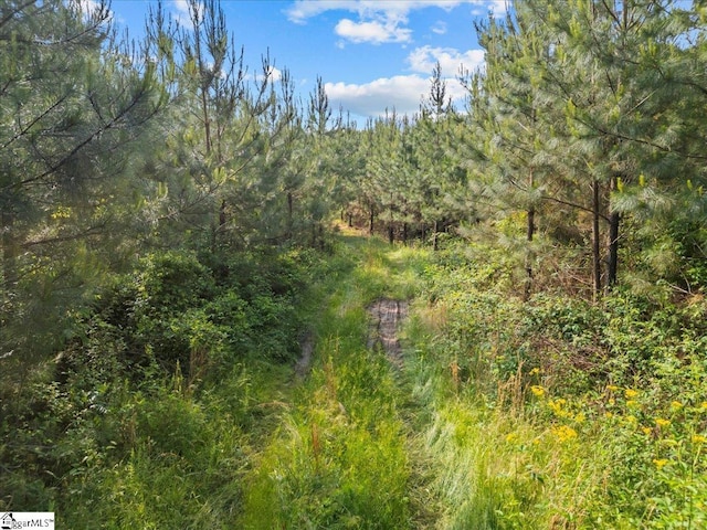 1260 Bishop Rd, Union, SC 29379