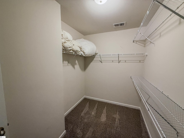 128 Adger Rd, Pendleton, SC 20670 - walk in closet featuring carpet floors