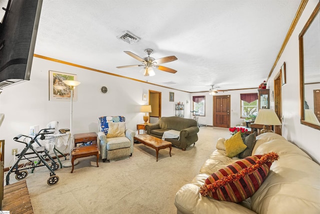 11 Crestview Ct, Piedmont, SC 29673 - carpeted living area featuring ceiling fan and ornamental molding