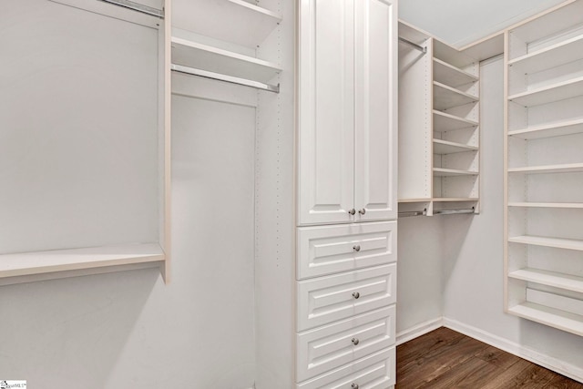 1105 Autumn Leaf Ln, Fountain Inn, SC 29644 - spacious closet with dark wood-style flooring