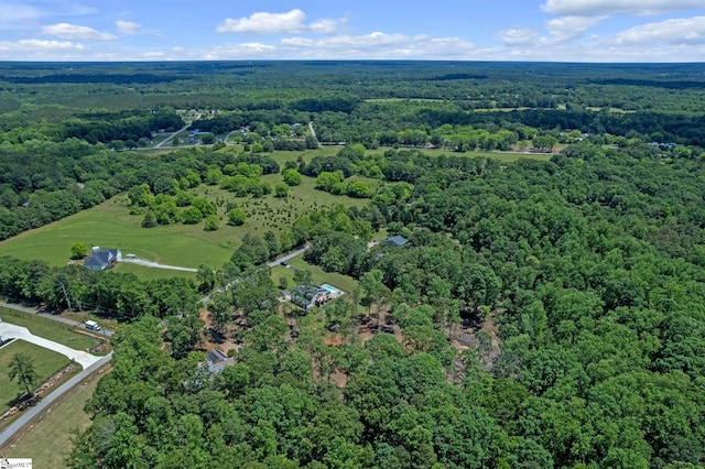 317 Hunter Rd, Fountain Inn, SC 29644 - aerial view of property's location with a forest