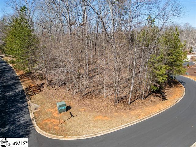000 Grand Overlook Dr, Seneca, SC 29678 - view of asphalt road with curbs