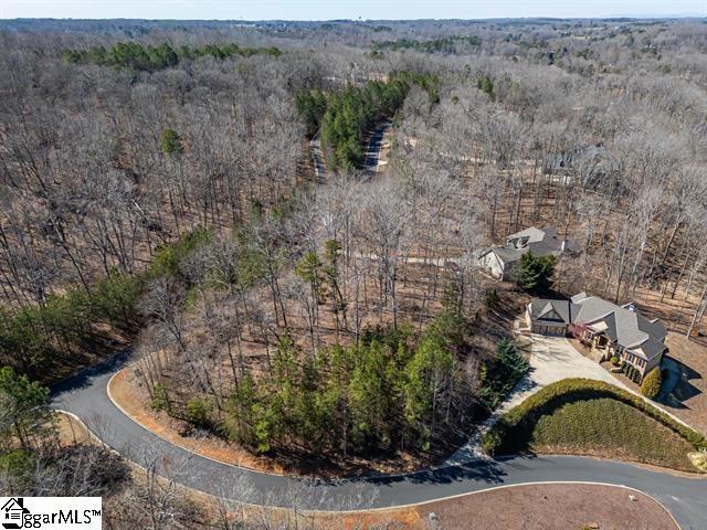 000 Grand Overlook Dr, Seneca, SC 29678 - aerial view of property's location featuring a forest