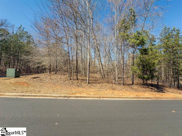 000 Grand Overlook Dr, Seneca, SC 29678 - view of yard