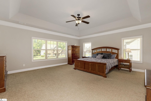 9 Bellagio Way, Greer, SC 29650 - bedroom with a raised ceiling, baseboards, and multiple windows