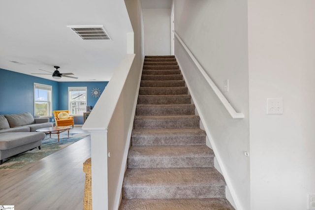 stairway with a ceiling fan, baseboards, and wood finished floors