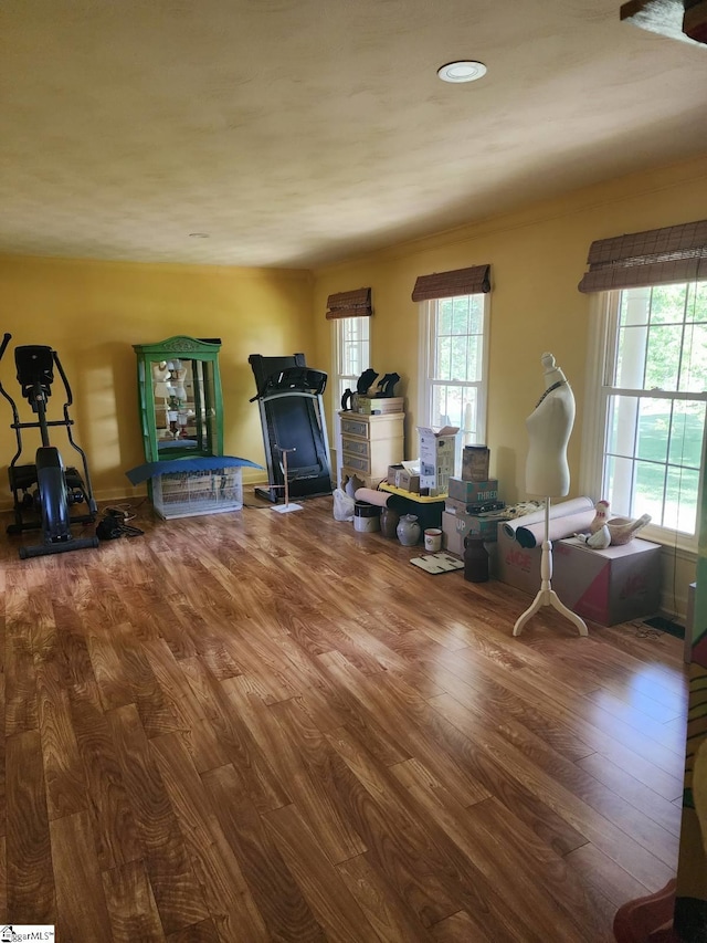 199 Ccc Camp Rd, Greer, SC 29651 - workout room with wood finished floors and recessed lighting