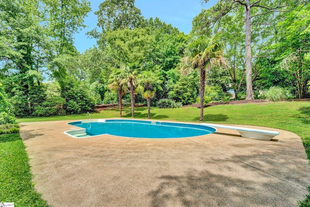 167 Lake Bowen Dr, Inman, SC 29349 - swimming pool featuring a diving board, a yard, view of scattered trees, and a patio area