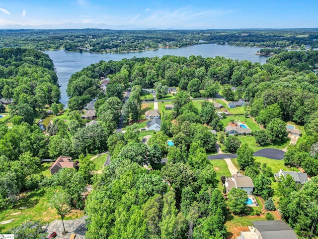 167 Lake Bowen Dr, Inman, SC 29349 - aerial view of residential area with a large body of water and a forest