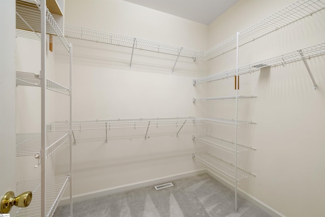spacious closet with carpet