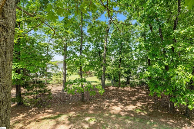 view of undeveloped land
