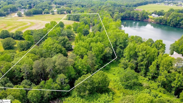 700 Old Green Pond Rd, Anderson, SC 29625 - aerial view of property and surrounding area with a large body of water, property boundaries highlighted, and a heavily wooded area