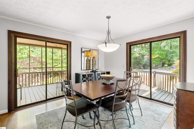 65 Westview Ave, Greenville, SC 29607 - dining room with plenty of natural light, light wood-style flooring, a textured ceiling, and crown molding
