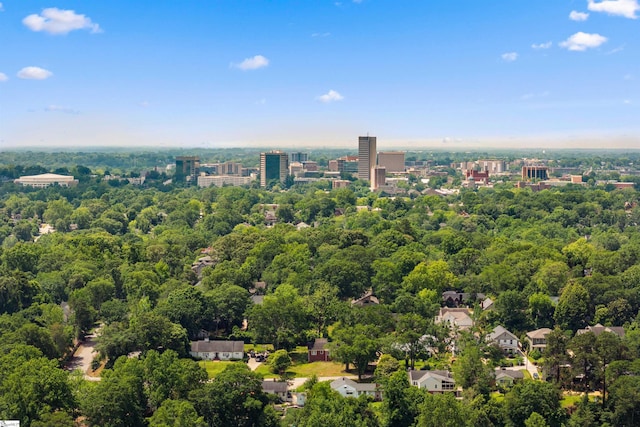 65 Westview Ave, Greenville, SC 29607 - drone / aerial view