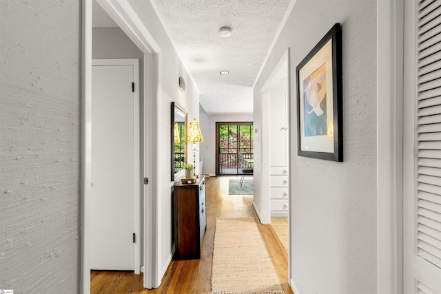 65 Westview Ave, Greenville, SC 29607 - corridor with light wood-style floors and a textured ceiling