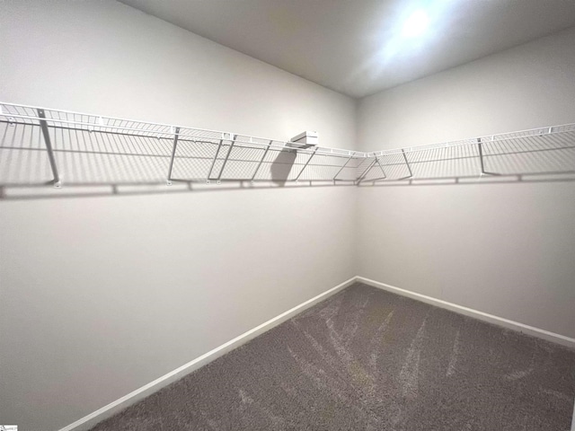 618 Farmstead Trl, Inman, SC 29349 - walk in closet featuring dark colored carpet