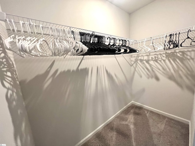 618 Farmstead Trl, Inman, SC 29349 - walk in closet featuring carpet