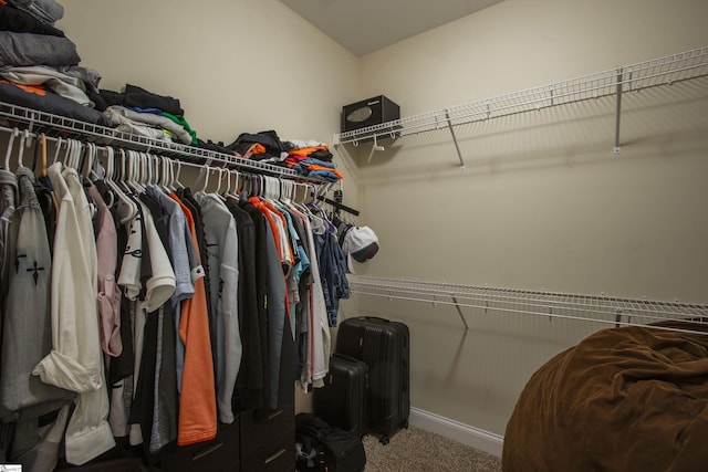 250 Chickadee Trl, Easley, SC 29642 - walk in closet with carpet