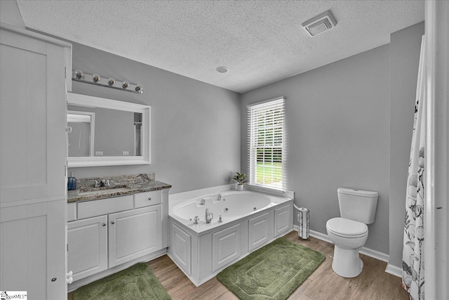 205 Willow Leaf Dr, Seneca, SC 29672 - bathroom with wood finished floors, toilet, vanity, a tub with jets, and a textured ceiling