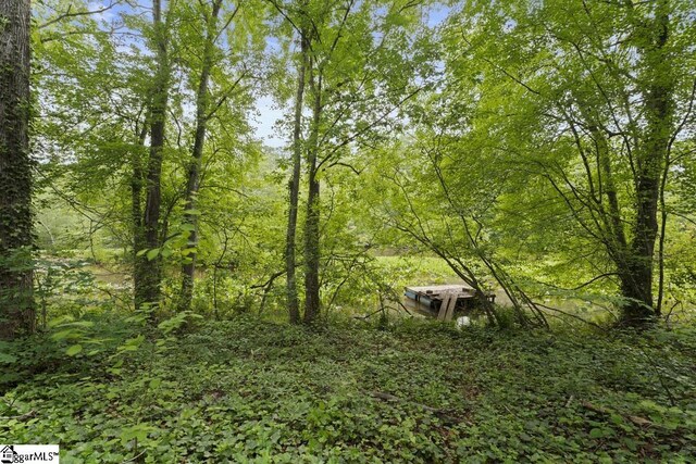 338 E Celestial Dr, Greer, SC 29651 - view of woods