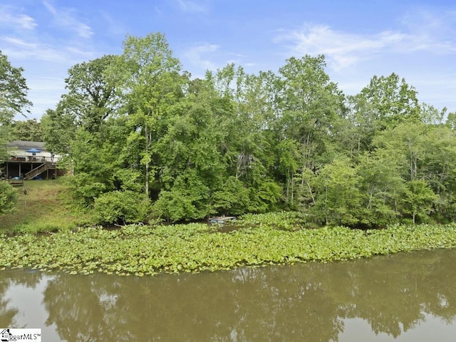 338 E Celestial Dr, Greer, SC 29651 - water view
