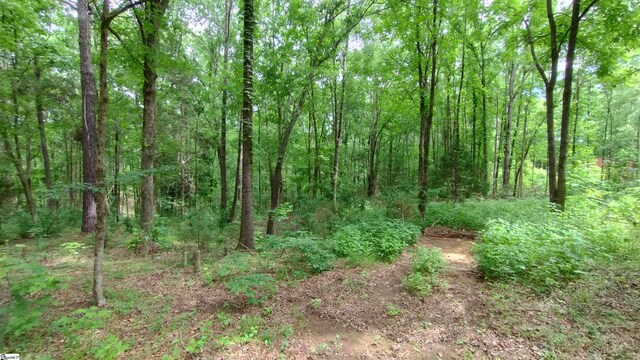38 Harbor Crest Dr, Waterloo, SC 29384