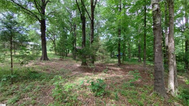 38 Harbor Crest Dr, Waterloo, SC 29384