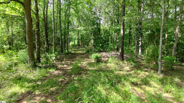 38 Harbor Crest Dr, Waterloo, SC 29384