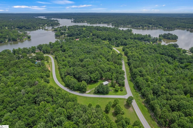 38 Harbor Crest Dr, Waterloo, SC 29384