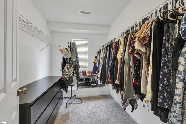 157 Stonewood Crossing Dr, Boiling Springs, SC 29316 - walk in closet with carpet flooring