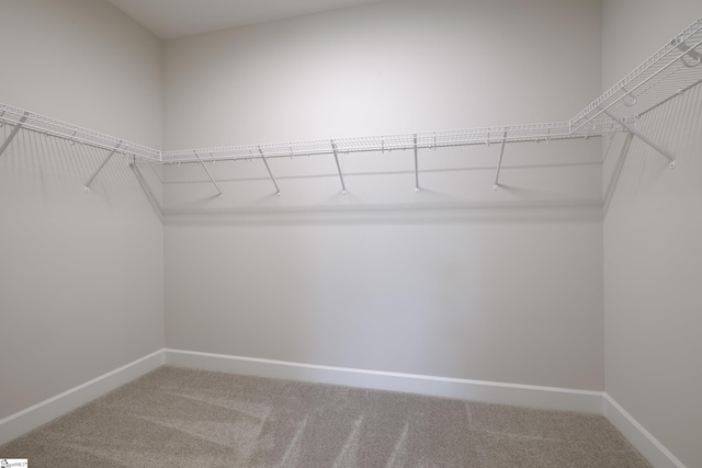 207 Fenner Pl, Greenville, SC 29607 - spacious closet with carpet