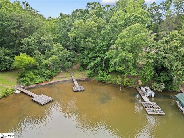 150 Orchard Dr, Inman, SC 29349 - dock featuring a water view