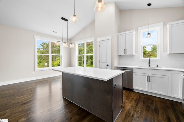 1047 Ansel School Rd, Greer, SC 29651 - kitchen featuring a sink, dishwasher, light countertops, white cabinetry, and dark wood finished floors
