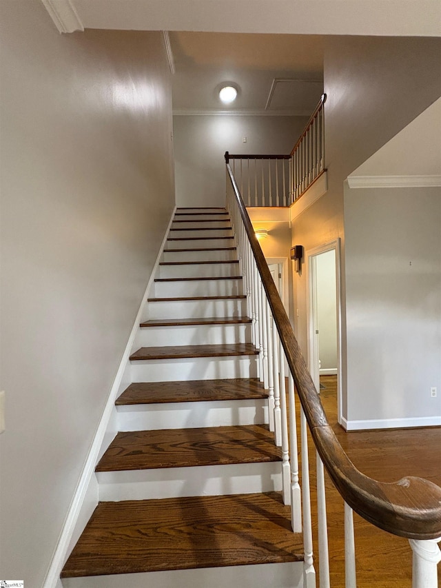 102 Quail Creek Ln, Greenville, SC 29615 - stairway featuring crown molding, baseboards, and wood finished floors