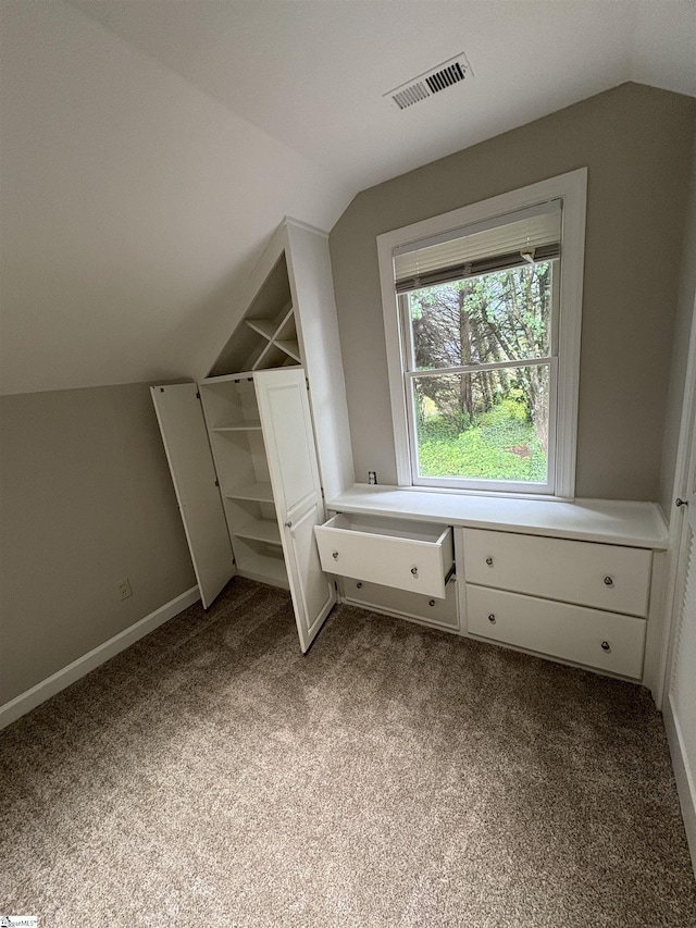 102 Quail Creek Ln, Greenville, SC 29615 - bonus room with vaulted ceiling, carpet flooring, and baseboards