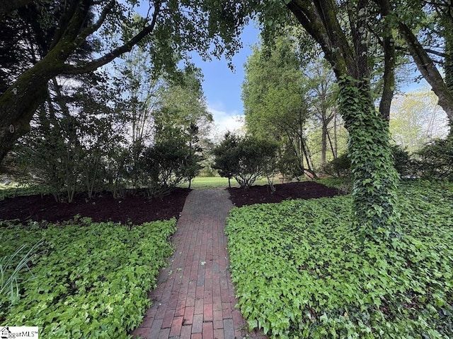 102 Quail Creek Ln, Greenville, SC 29615 - view of yard
