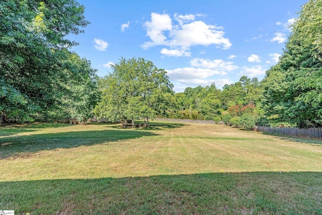 113 Faulkner Cir, Greer, SC 29651 - view of yard
