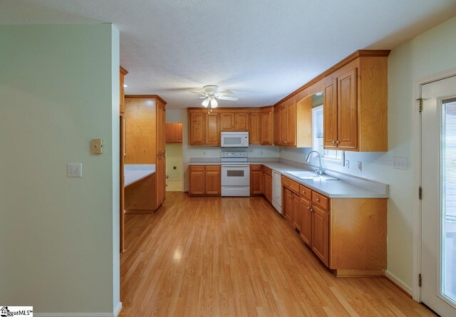 301 S Cassidy Way, Campobello, SC 29322 - kitchen with white appliances, a sink, light wood-style flooring, light countertops, and a ceiling fan