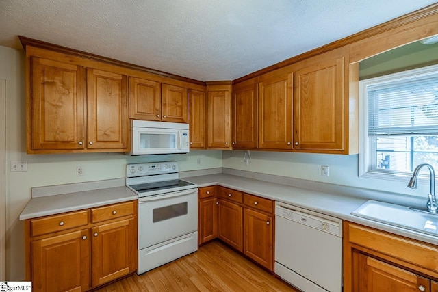 301 S Cassidy Way, Campobello, SC 29322 - kitchen featuring white appliances, a sink, brown cabinetry, light wood-style floors, and light countertops