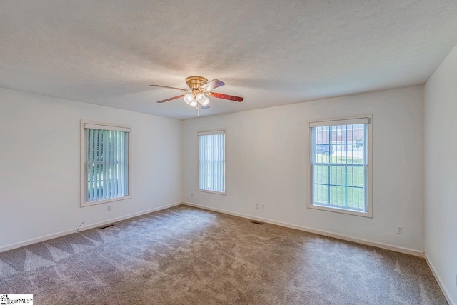 301 S Cassidy Way, Campobello, SC 29322 - unfurnished room with plenty of natural light, ceiling fan, carpet floors, baseboards, and a textured ceiling
