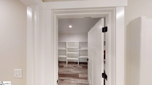 walk in closet featuring wood finished floors