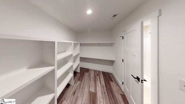 spacious closet featuring wood finished floors