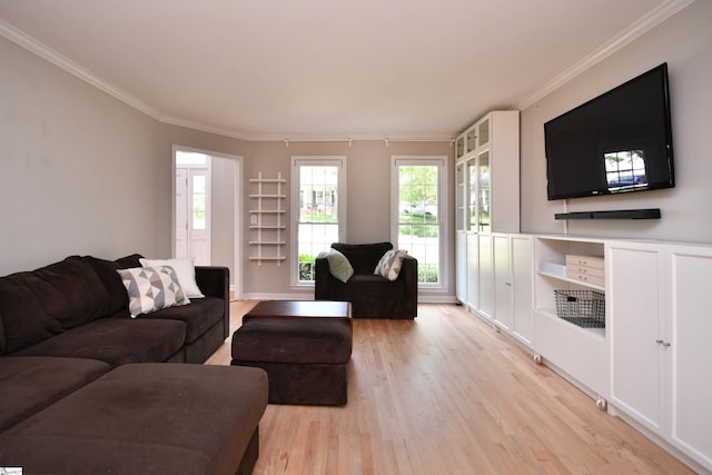 210 Cross Field Rd, Greenville, SC 29607 - living room featuring light wood-type flooring and ornamental molding