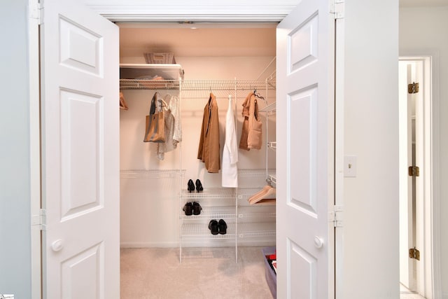 210 Cross Field Rd, Greenville, SC 29607 - view of closet