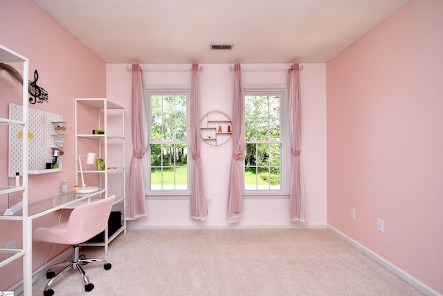 210 Cross Field Rd, Greenville, SC 29607 - office with carpet flooring and baseboards
